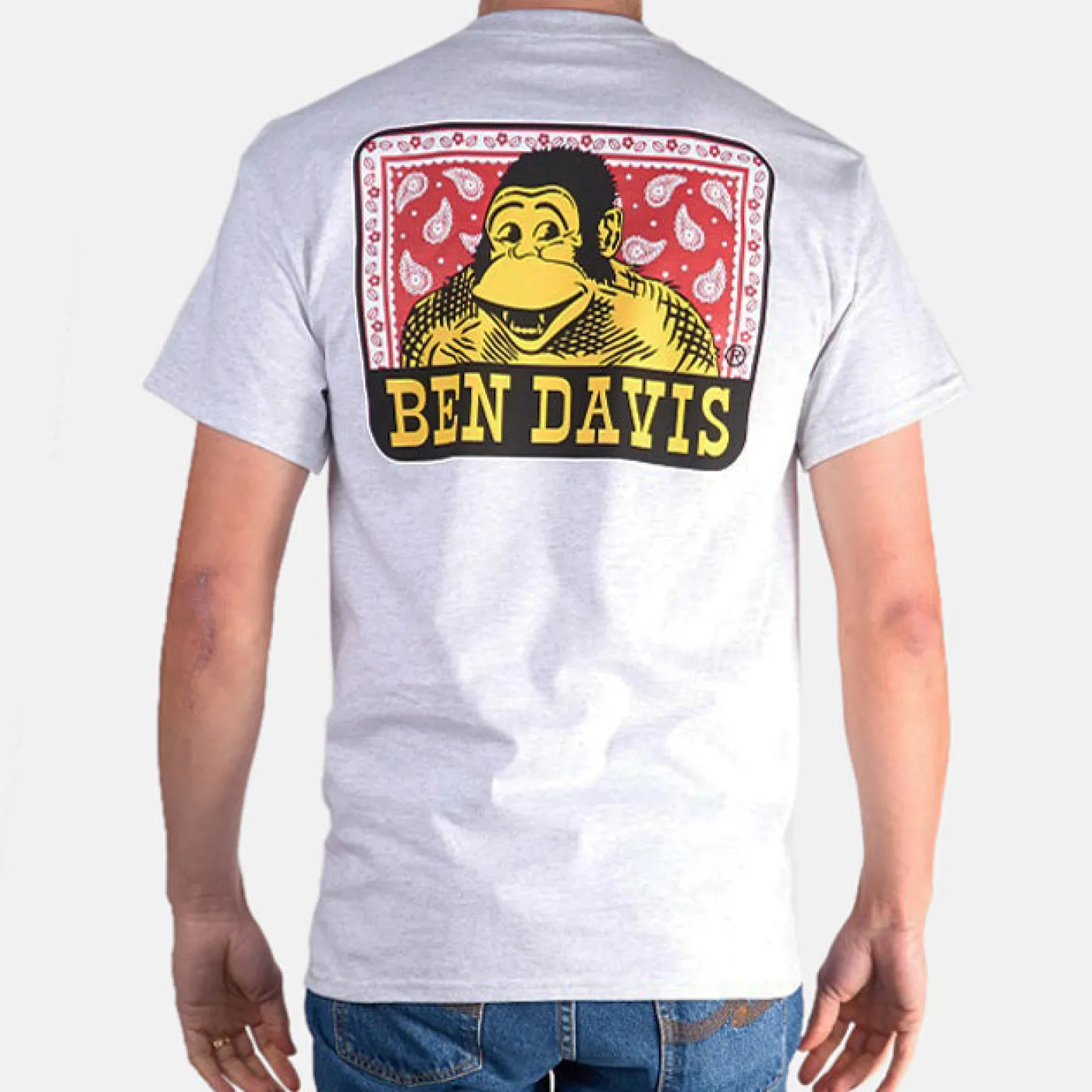 Clearance Ben Davis Paisley T-Shirt - Ash Grey