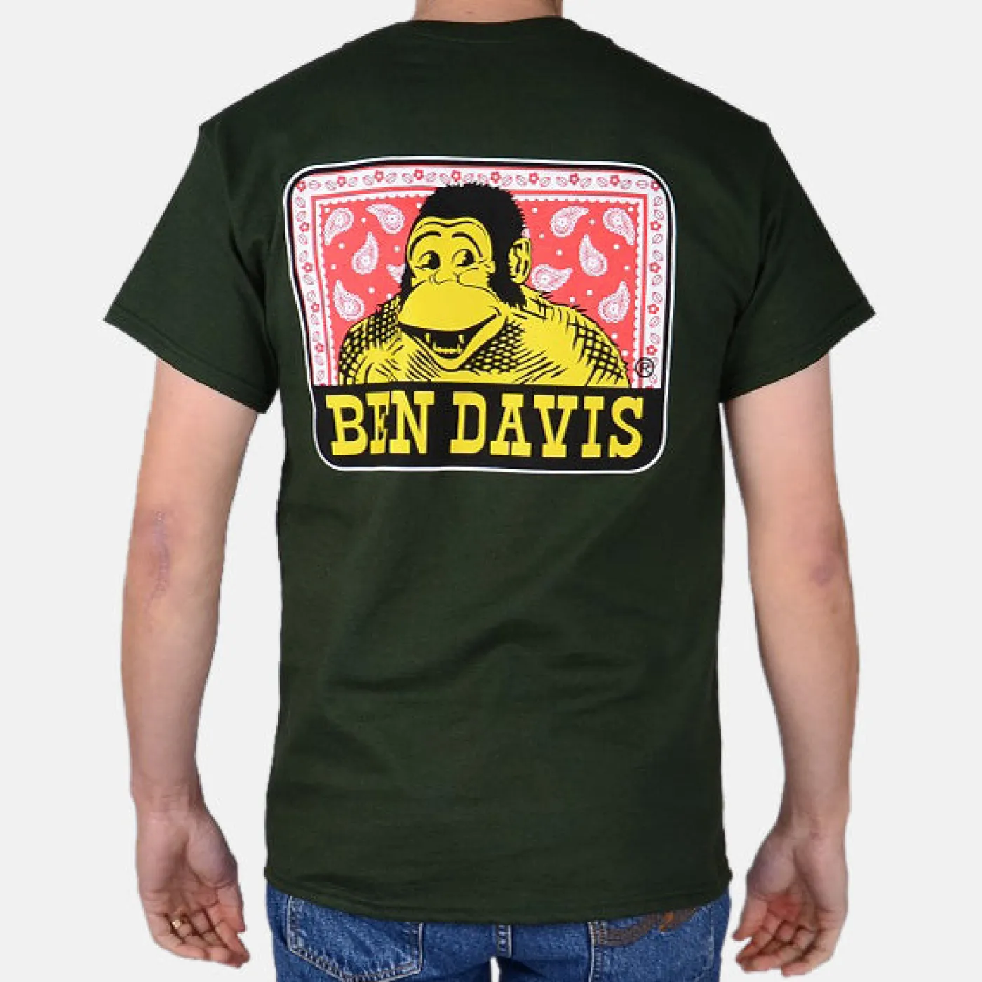 Best Ben Davis Paisley T-Shirt - Green